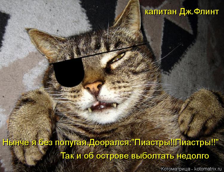 Котоматрица: Нынче я без попугая.Доорался:"Пиастры!!Пиаcтры!!" Так и об острове выболтать недолго капитан Дж.Флинт