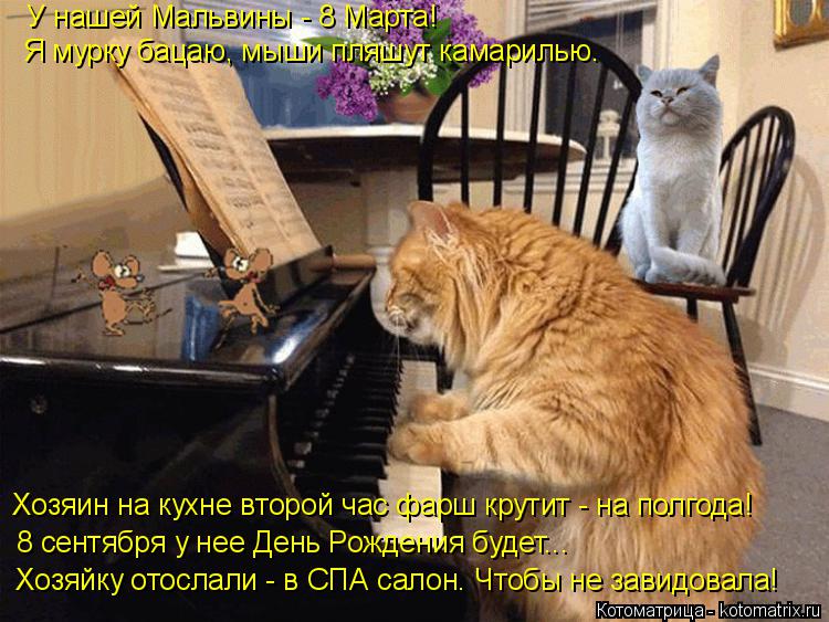 У нашей Мальвины - 8 Марта! Я мурку бацаю, мыши пляшут камарилью. Хозяйку отослали - в СПА салон. Что... Котоматрица: У нашей Мальвины - 8 Марта! Я мурку бацаю, мыши пляшут камарилью. Хозяйку отослали - в СПА салон. Чтобы не завидовала! 8 сентября у нее День Рожд