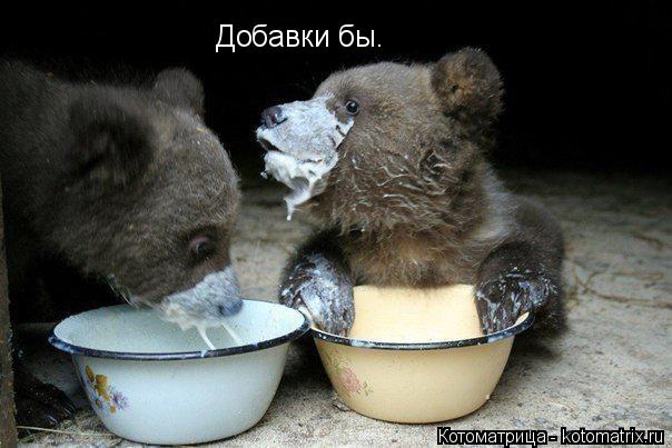 Добавки бы.... Котоматрица: Добавки бы.