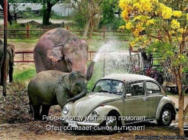 Отец обливает сынок вытирает! Ребенок отцу мыть авто помогает.... Котоматрица: Отец обливает сынок вытирает! Ребенок отцу мыть авто помогает.