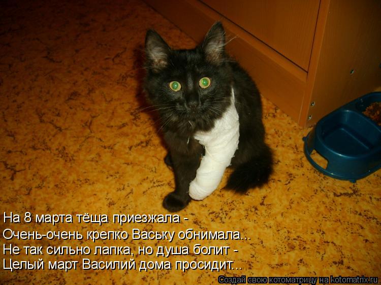 Котоматрица: На 8 марта тёща приезжала -  Очень-очень крепко Ваську обнимала... Не так сильно лапка, но душа болит -  Целый март Василий дома просидит...
