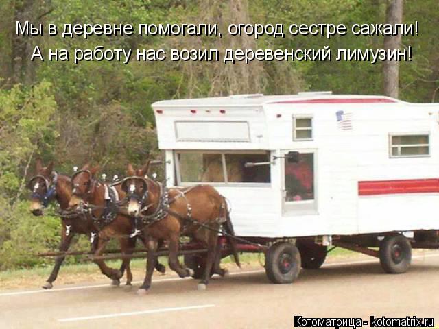 Мы в деревне помогали, огород сестре сажали! А на работу нас возил деревенский лимузин!... Котоматрица: Мы в деревне помогали, огород сестре сажали! А на работу нас возил деревенский лимузин!