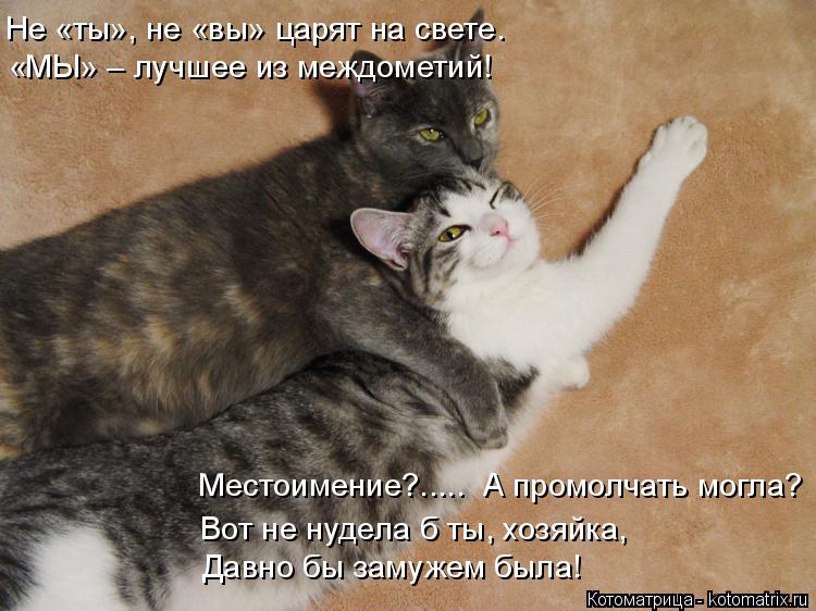 Котоматрица: Не «ты», не «вы» царят на свете. «МЫ» – лучшее из междометий! Местоимение?.....  А промолчать могла? Давно бы замужем была! Вот не нудела б ты, хо