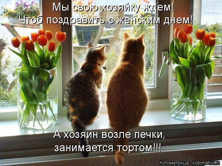 Котоматрица: Мы свою хозяйку ждем! Чтоб поздравить с женским днем! А хозяин возле печки, занимается тортом!!!