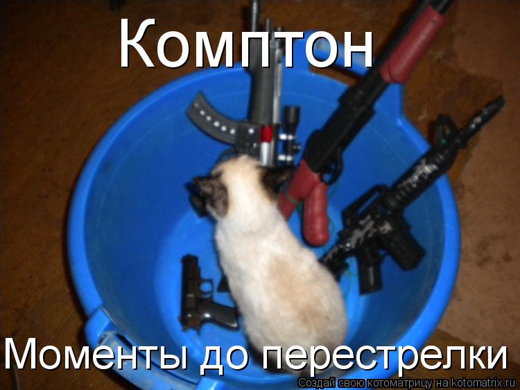 Котоматрица: Комптон Моменты до перестрелки