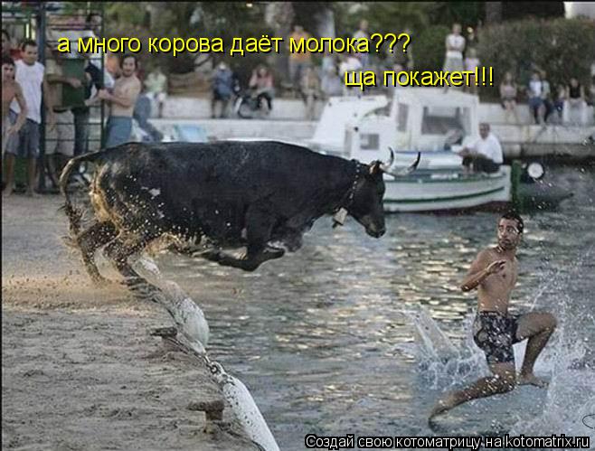 Котоматрица: а много корова даёт молока??? ща покажет!!!