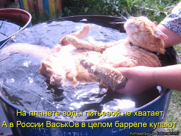 На планете воды питьевой не хватает, А в России ВаськОв в целом барреле купают... Котоматрица: На планете воды питьевой не хватает, А в России ВаськОв в целом барреле купают