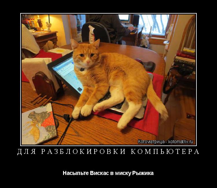ДЛЯ РАЗБЛОКИРОВКИ КОМПЬЮТЕРА Насыпьте Вискас в миску Рыжика... Котоматрица: ДЛЯ РАЗБЛОКИРОВКИ КОМПЬЮТЕРА Насыпьте Вискас в миску Рыжика