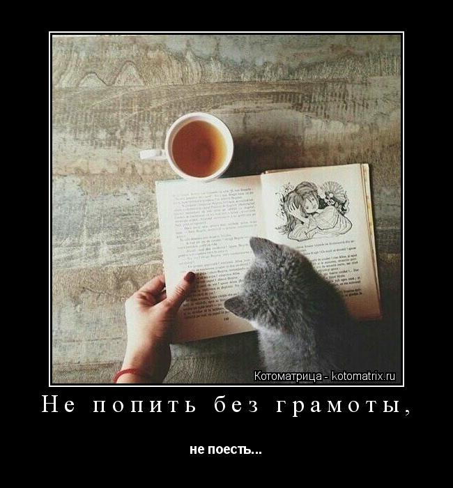 Не попить без грамоты, не поесть...... Котоматрица: Не попить без грамоты, не поесть...