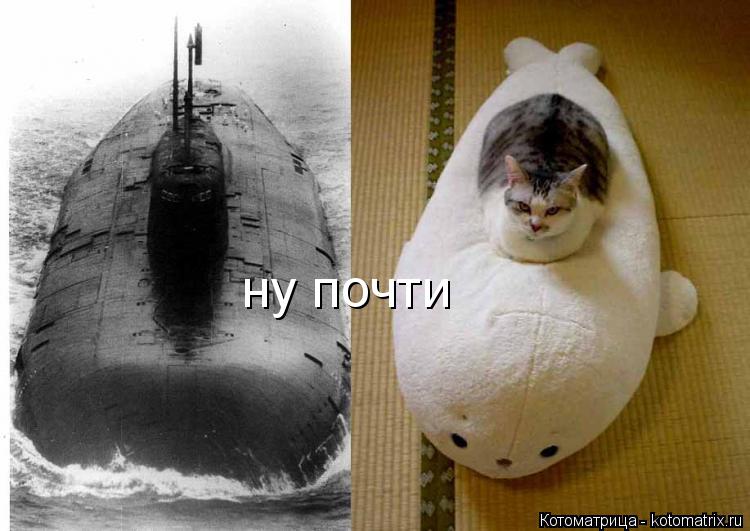 Котоматрица: ну почти