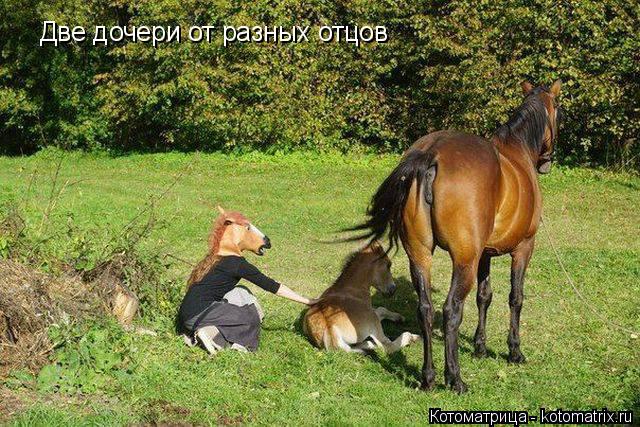Две дочери от разных отцов... Котоматрица: Две дочери от разных отцов