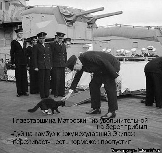 -Главстаршина Матроскин из увольнительной на берег прибыл! -Дуй на камбуз к коку,исхудавший.Экипаж пе... Котоматрица: -Главстаршина Матроскин из увольнительной на берег прибыл! -Дуй на камбуз к коку,исхудавший.Экипаж переживает-шесть кормёжек пропустил