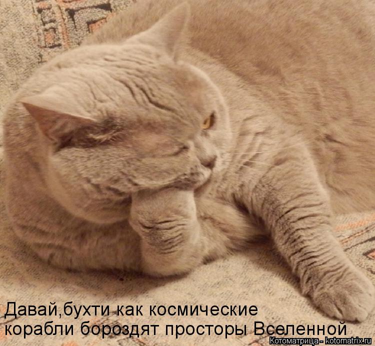 корабли бороздят просторы Вселенной Давай,бухти как космические... Котоматрица: корабли бороздят просторы Вселенной Давай,бухти как космические