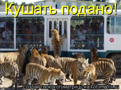 Кушать подано!... Котоматрица: Кушать подано!