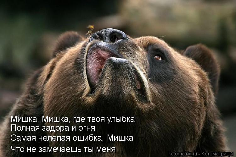 Мишка, Мишка, где твоя улыбка Что не замечаешь ты меня Полная задора и огня Самая нелепая ошибка, Миш... Котоматрица: Мишка, Мишка, где твоя улыбка Что не замечаешь ты меня Полная задора и огня Самая нелепая ошибка, Мишка