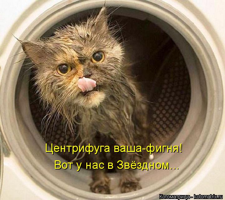 Котоматрица: Центрифуга ваша-фигня! Вот у нас в Звёздном...