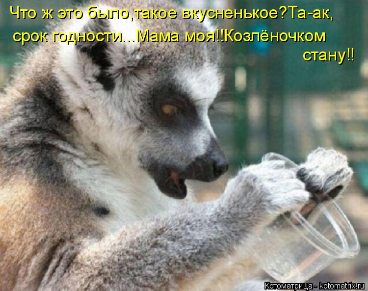 Что ж это было,такое вкусненькое?Та-ак, срок годности...Мама моя!!Козлёночком стану!!... Котоматрица: Что ж это было,такое вкусненькое?Та-ак, срок годности...Мама моя!!Козлёночком стану!!