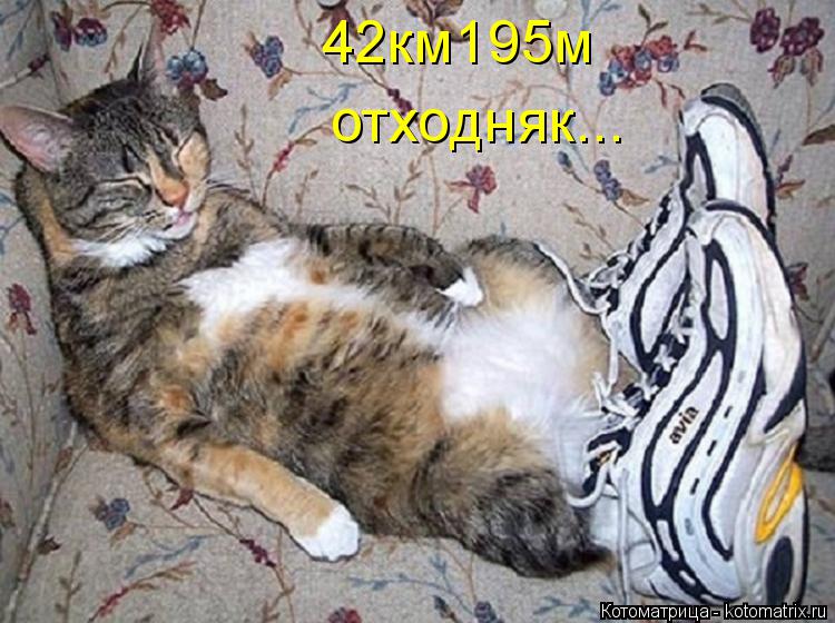 42км195м отходняк...... Котоматрица: 42км195м отходняк...