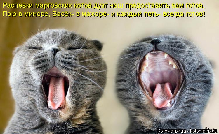 Распевки мартовских котов дуэт наш предоставить вам готов, Пою в миноре, Васёк- в мажоре- и каждый пе... Котоматрица: Распевки мартовских котов дуэт наш предоставить вам готов, Пою в миноре, Васёк- в мажоре- и каждый петь- всегда готов!