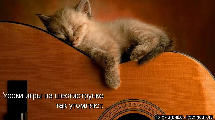 Уроки игры на шестиструнке так утомляют...... Котоматрица: Уроки игры на шестиструнке так утомляют...