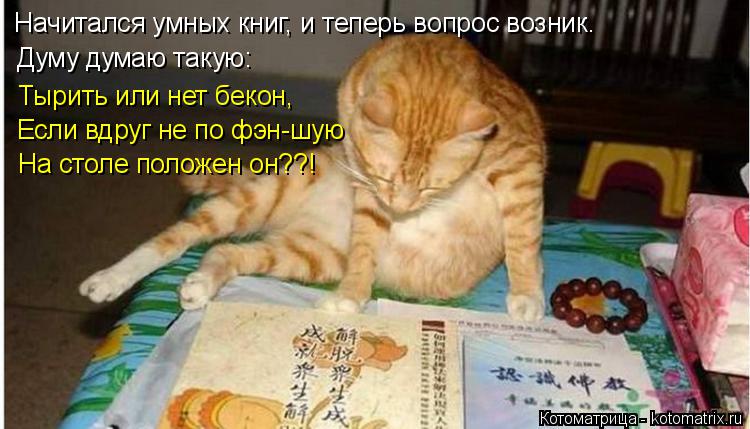 Котоматрица: Начитался умных книг, и теперь вопрос возник. Думу думаю такую:  Тырить или нет бекон, Если вдруг не по фэн-шую  На столе положен он??!