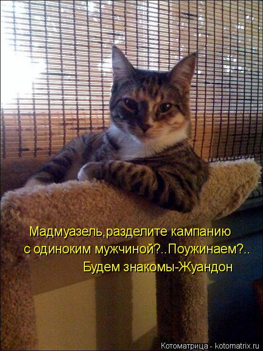 с одиноким мужчиной?..Поужинаем?.. Мадмуазель,разделите кампанию Будем знакомы-Жуандон... Котоматрица: с одиноким мужчиной?..Поужинаем?.. Мадмуазель,разделите кампанию Будем знакомы-Жуандон