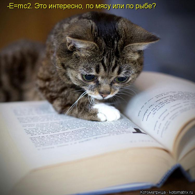 Котоматрица: -Е=mc2. Это интересно, по мясу или по рыбе?