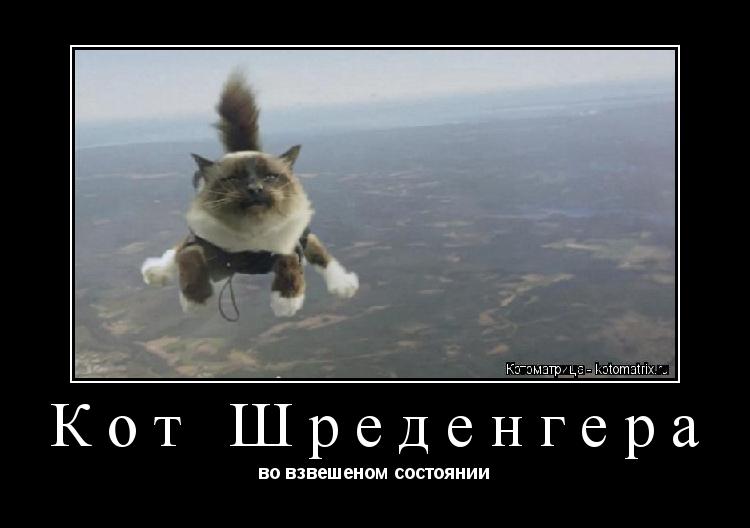 Кот Шреденгера во взвешеном состоянии... Котоматрица: Кот Шреденгера во взвешеном состоянии