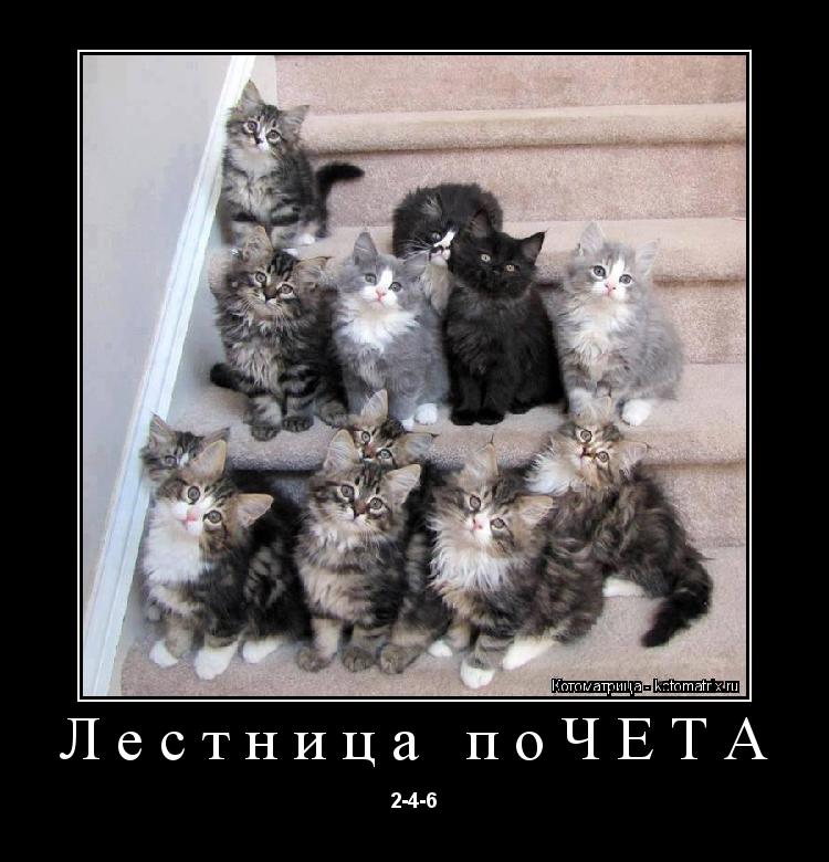 Лестница поЧЕТА 2-4-6... Котоматрица: Лестница поЧЕТА 2-4-6