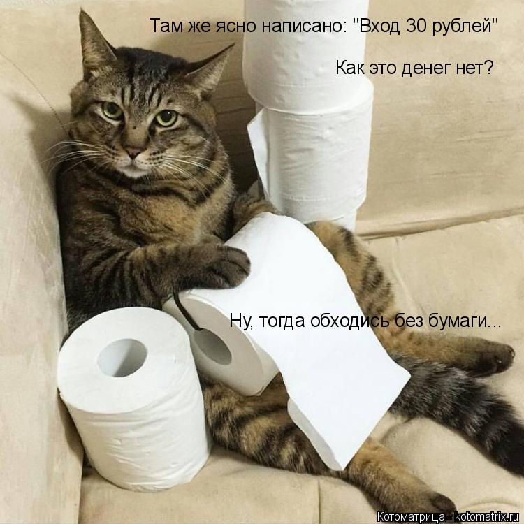 Там же ясно написано: "Вход 30 рублей" Как это денег нет? Ну, тогда обходись без бумаги...... Котоматрица: Там же ясно написано: "Вход 30 рублей" Как это денег нет? Ну, тогда обходись без бумаги...