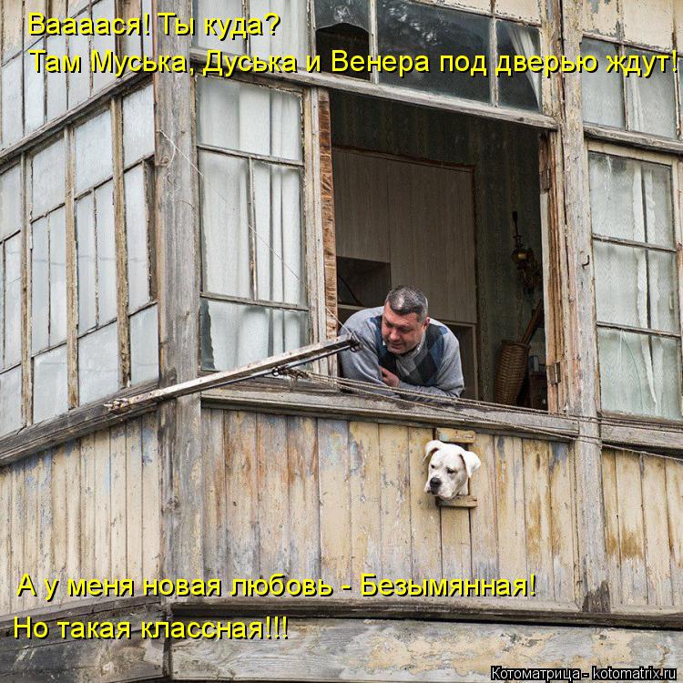 Ваааася! Ты куда? Там Муська, Дуська и Венера под дверью ждут! А у меня новая любовь - Безымянная! Но... Котоматрица: Ваааася! Ты куда? Там Муська, Дуська и Венера под дверью ждут! А у меня новая любовь - Безымянная! Но такая классная!!!