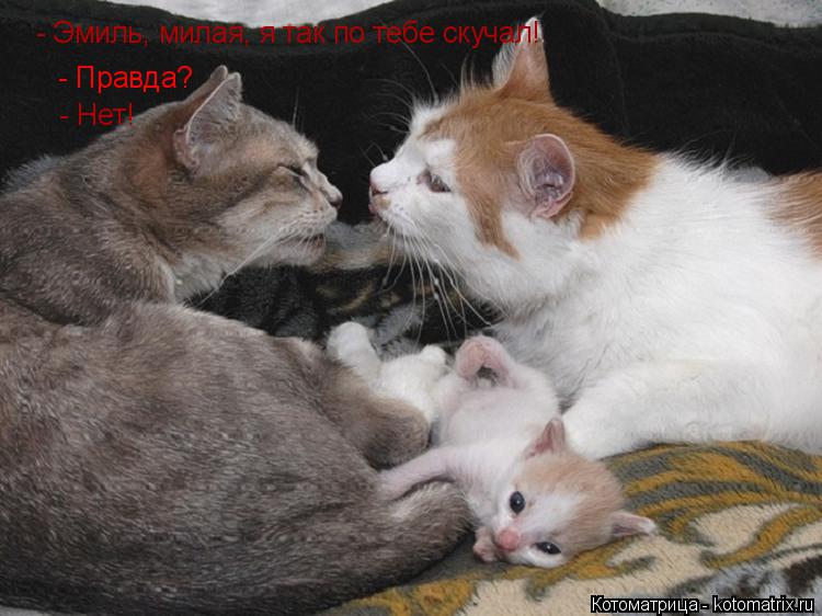 Конечно свяжу тебе жизнь Конечно свяжу тебе жизнь