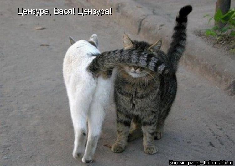 Цензура, Вася! Цензура!... Котоматрица: Цензура, Вася! Цензура!