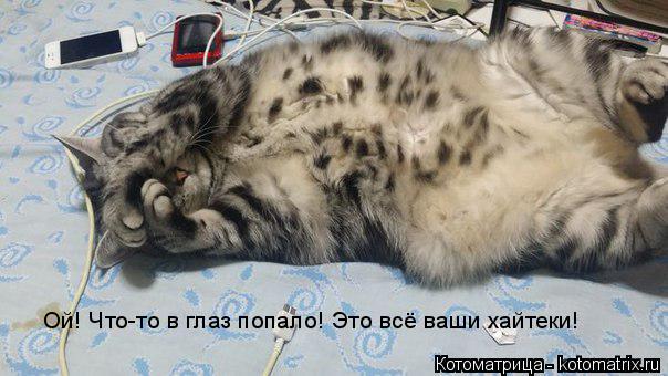 Ой! Что-то в глаз попало! Это всё ваши хайтеки!... Котоматрица: Ой! Что-то в глаз попало! Это всё ваши хайтеки!