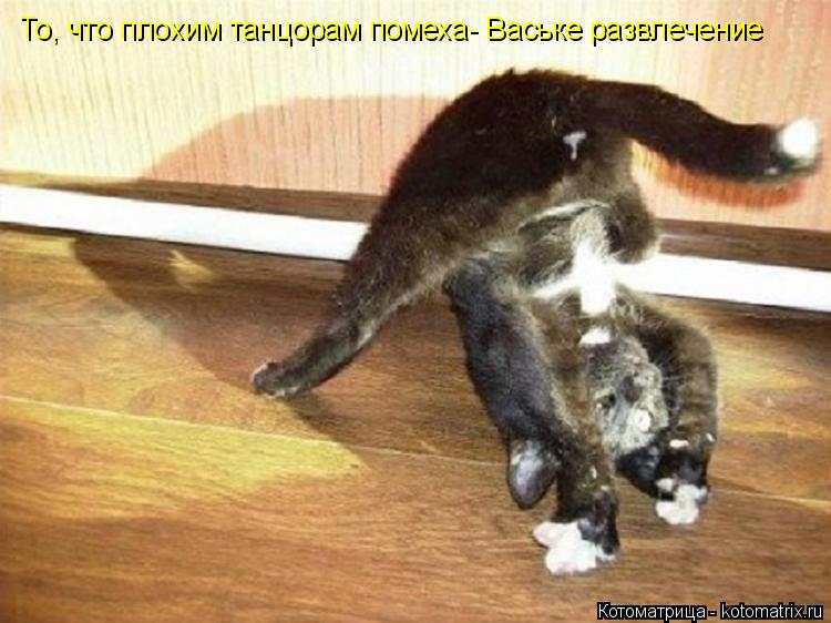 То, что плохим танцорам помеха- Ваське развлечение... Котоматрица: То, что плохим танцорам помеха- Ваське развлечение