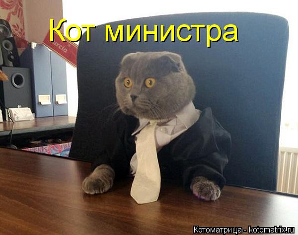 Котоматрица: Кот министра