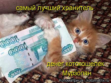 Котоматрица: самый лучший хранитель денег котокошелёк Мурзопан