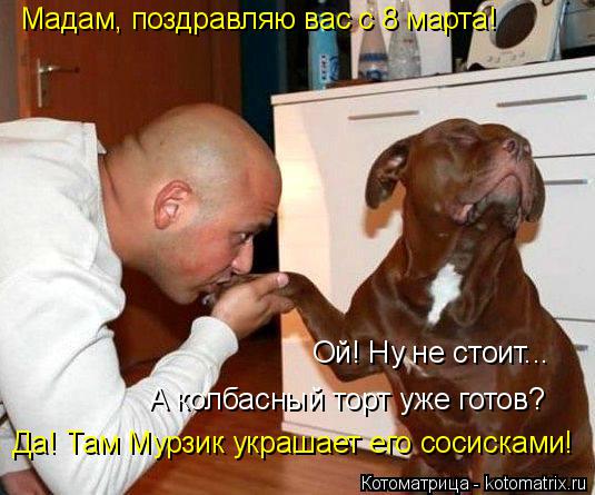 Котоматрица: Мадам, поздравляю вас с 8 марта! Ой! Ну не стоит... А колбасный торт уже готов? Да! Там Мурзик украшает его сосисками!