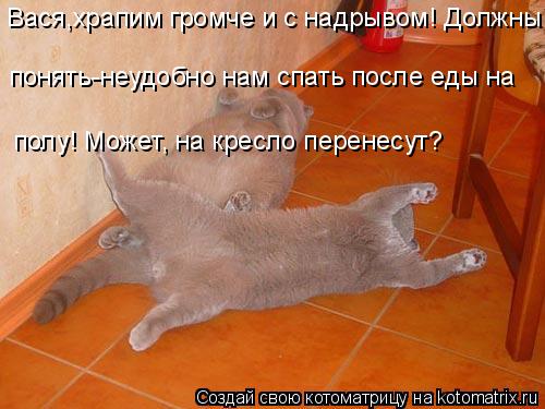 Котоматрица: Вася,храпим громче и с надрывом! Должны понять-неудобно нам спать после еды на полу! Может, на кресло перенесут?