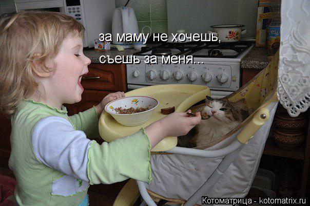 Котоматрица: за маму не хочешь, съешь за меня...