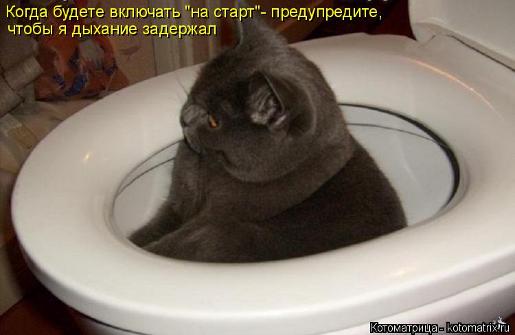 Котоматрица: Когда будете включать "на старт"- предупредите,  чтобы я дыхание задержал