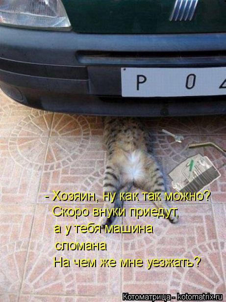Котоматрица: - Хозяин, ну как так можно?  Скоро внуки приедут, а у тебя машина сломана На чем же мне уезжать?