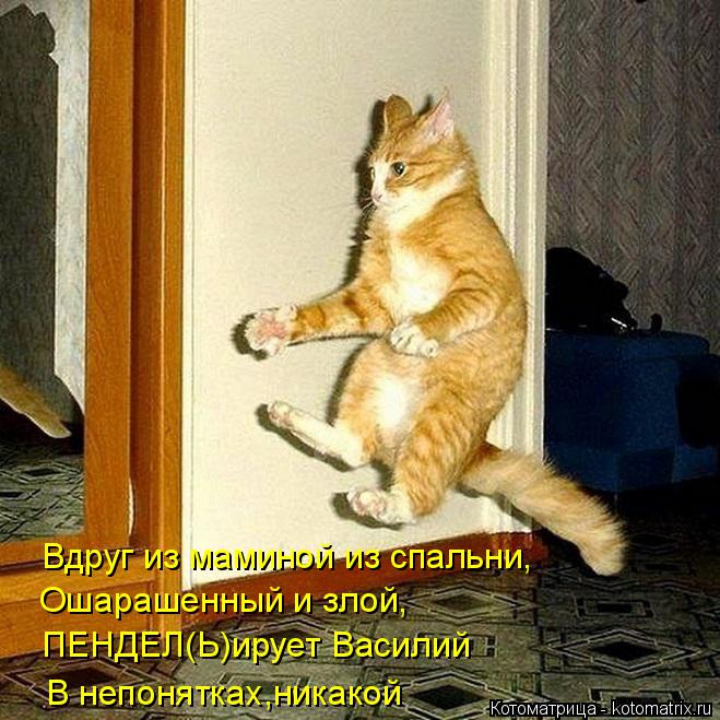 Котоматрица: Вдруг из маминой из спальни, Ошарашенный и злой,   ПЕНДЕЛ(Ь)ирует Василий В непонятках,никакой