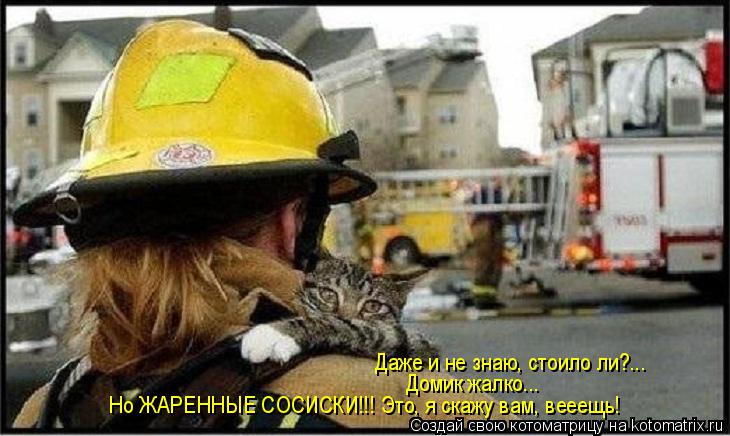Котоматрица: Даже и не знаю, стоило ли?... Домик жалко... Но ЖАРЕННЫЕ СОСИСКИ!!! Это, я скажу вам, вееещь!