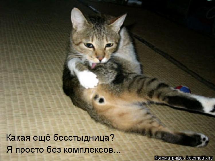 Котоматрица: Какая ещё бесстыдница? Я просто без комплексов...