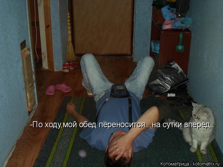 -По ходу,мой обед переносится...на сутки вперёд..... Котоматрица: -По ходу,мой обед переносится...на сутки вперёд..