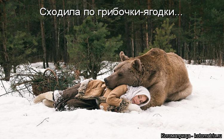 Котоматрица: Сходила по грибочки-ягодки...