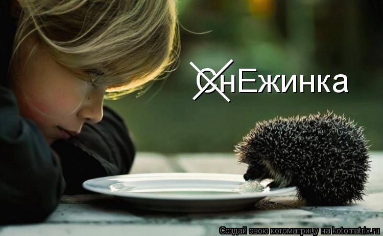 Котоматрица: СнЕжинка ___ ___