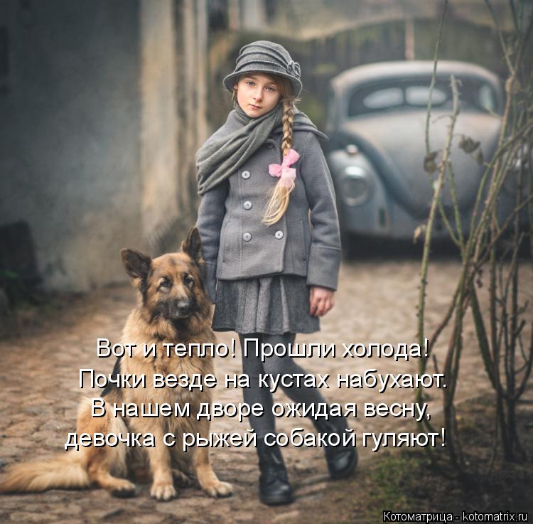 Котоматрица: Почки везде на кустах набухают. Вот и тепло! Прошли холода! В нашем дворе ожидая весну, девочка с рыжей собакой гуляют!