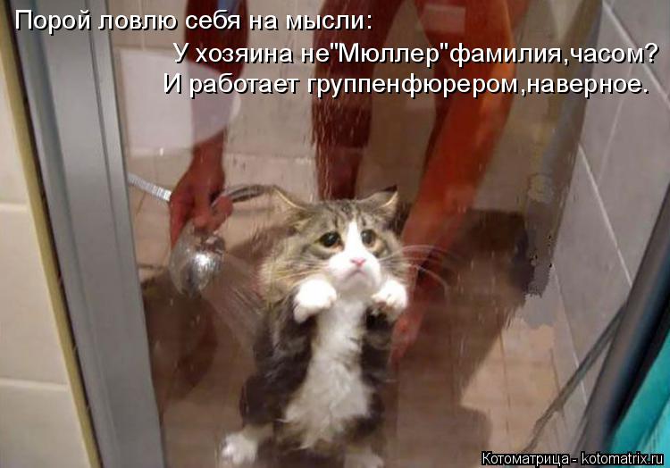 Котоматрица: Порой ловлю себя на мысли: У хозяина не"Мюллер"фамилия,часом? И работает группенфюрером,наверное.
